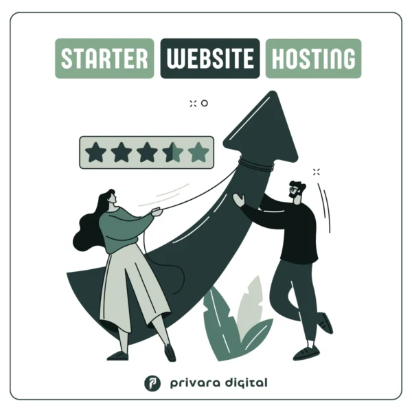 website hosting package starter SWERS private