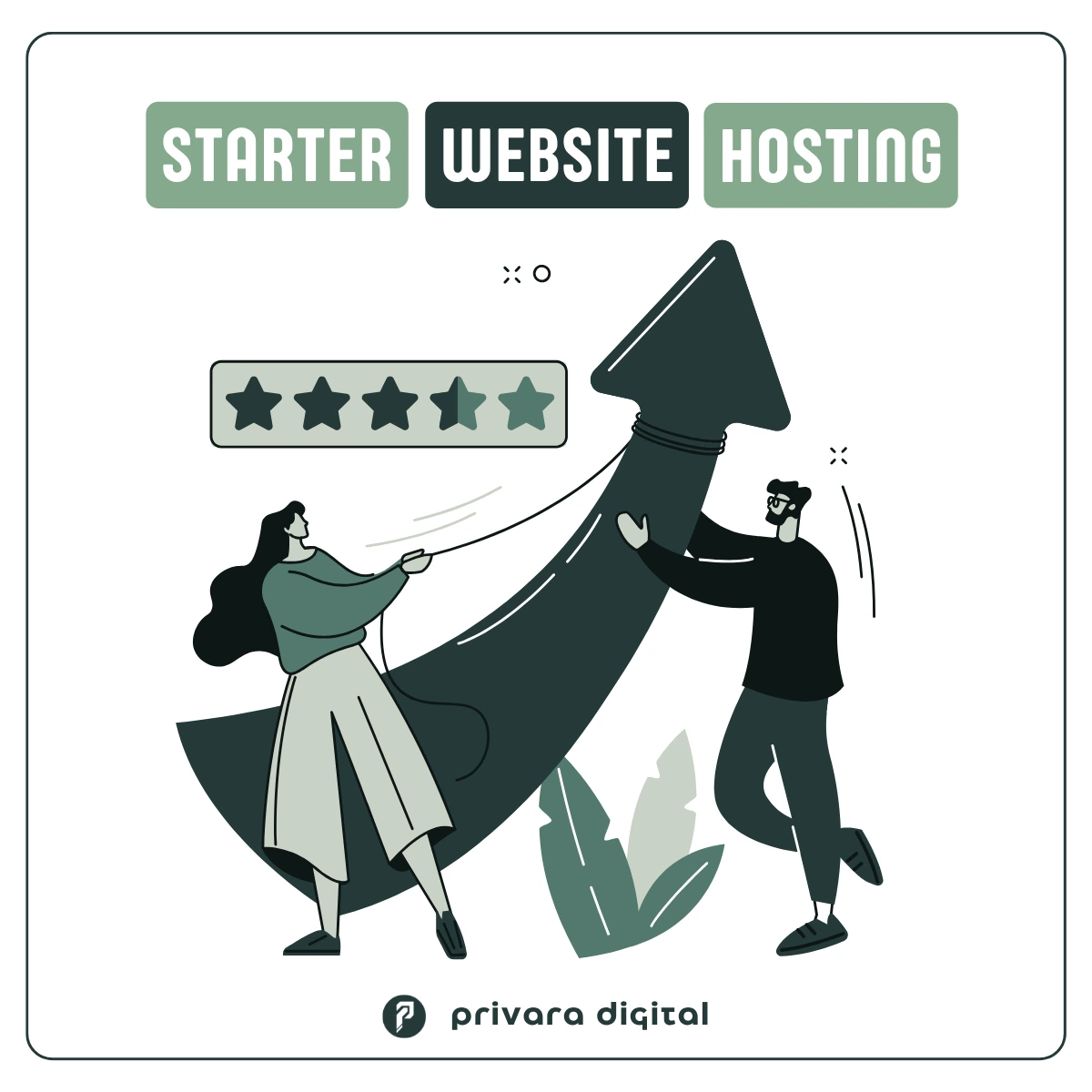 website hosting package starter SWERS private